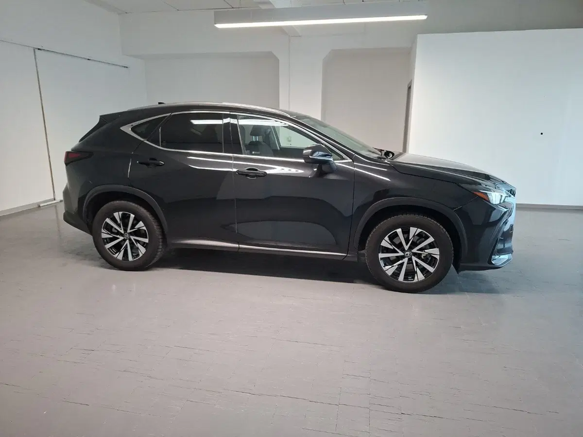 Lexus NX usata a Arezzo (8)