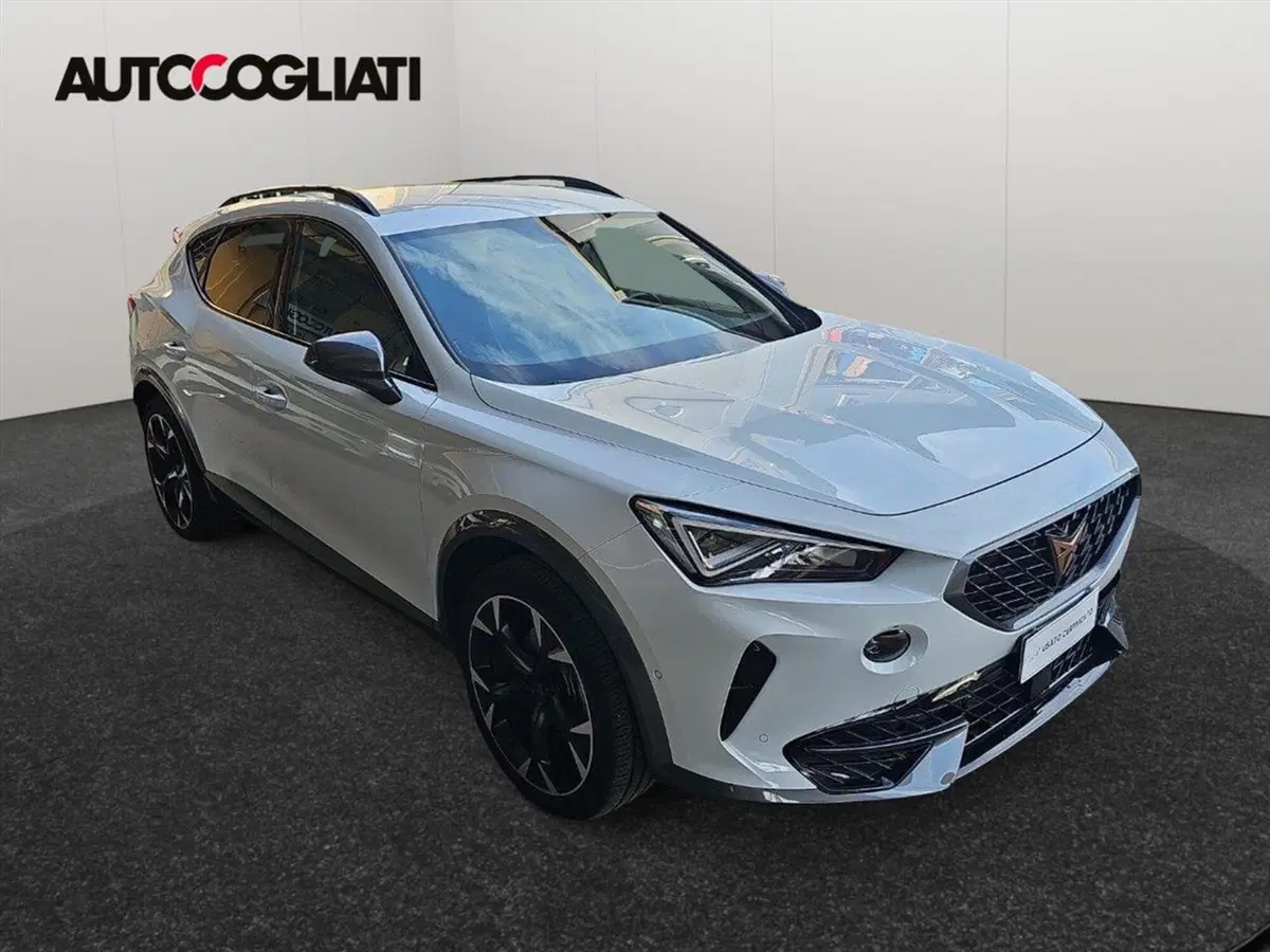Cupra Formentor usata a Lecco (3)