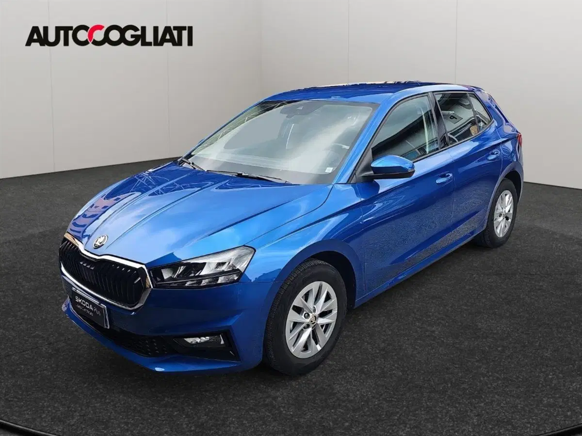 Skoda Fabia usata a Lecco