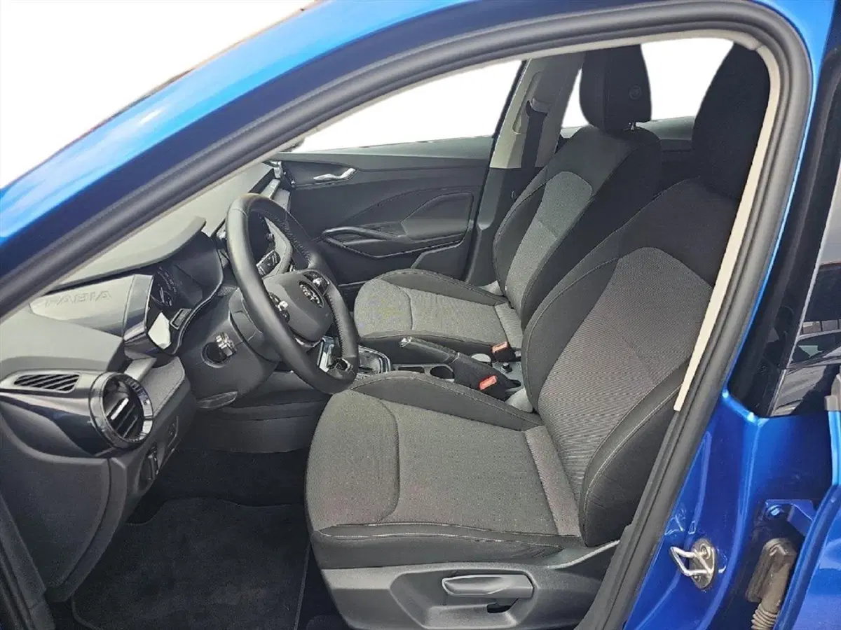 Skoda Fabia usata a Lecco (11)
