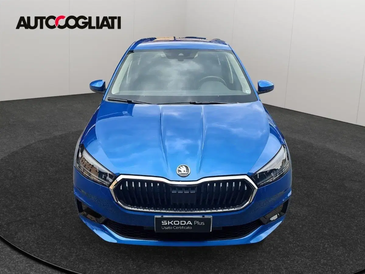 Skoda Fabia usata a Lecco (2)
