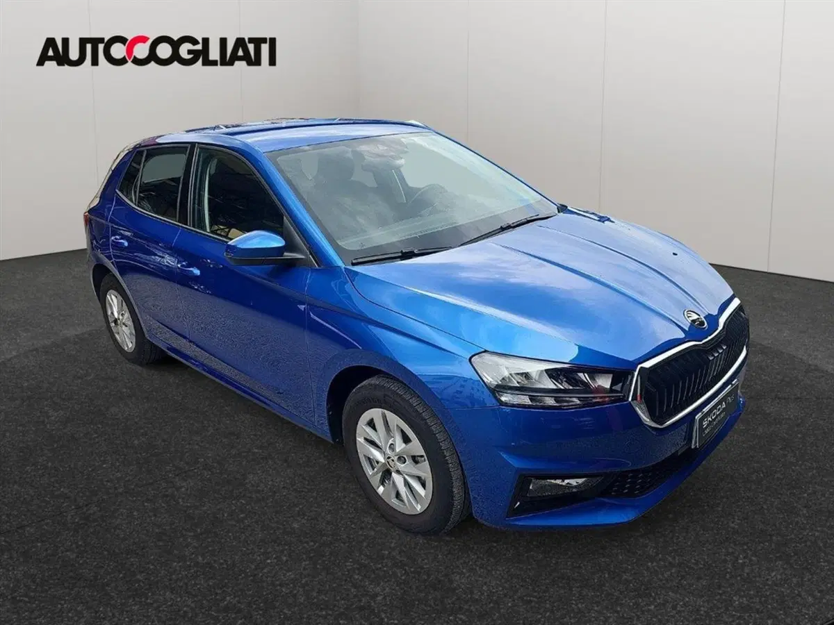 Skoda Fabia usata a Lecco (3)