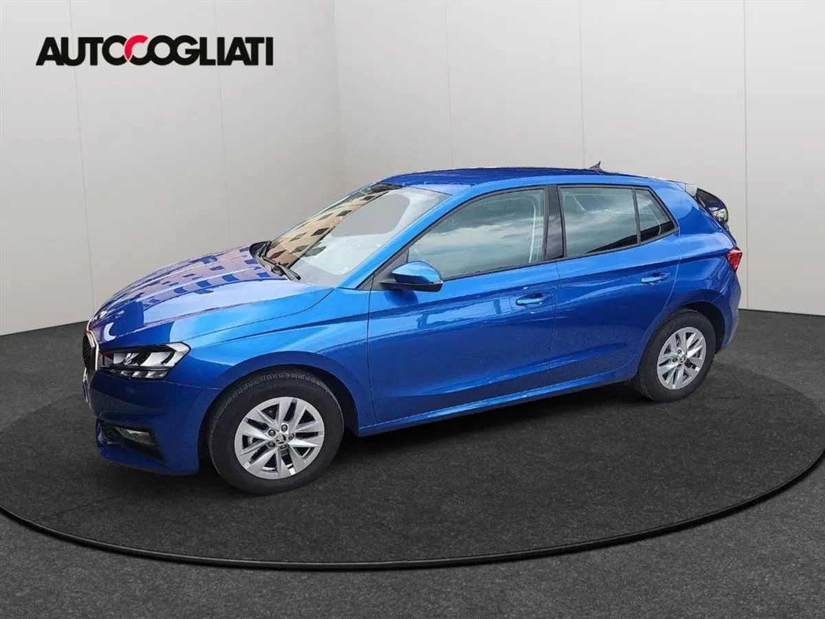 Skoda Fabia usata a Lecco (4)