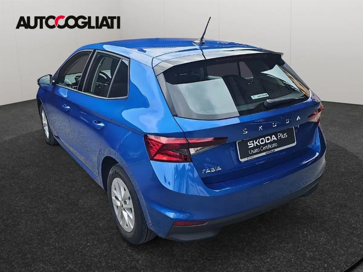 Skoda Fabia usata a Lecco (5)
