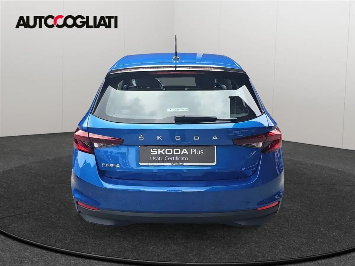 Skoda Fabia usata a Lecco (6)