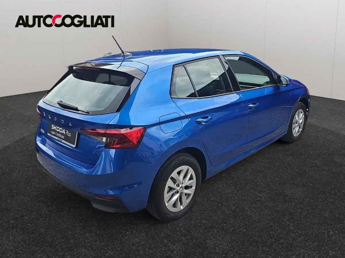 Skoda Fabia usata a Lecco (7)