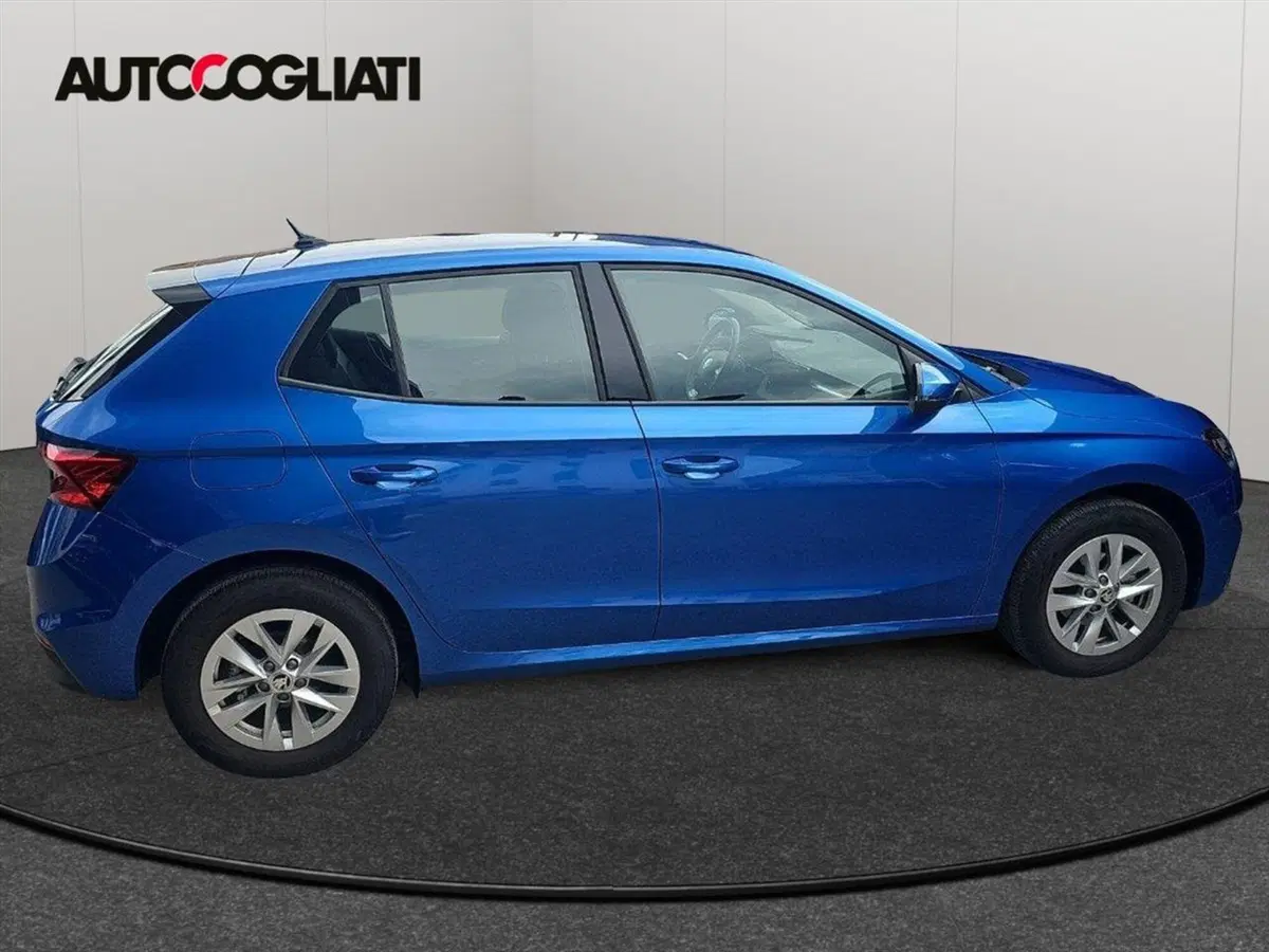 Skoda Fabia usata a Lecco (8)
