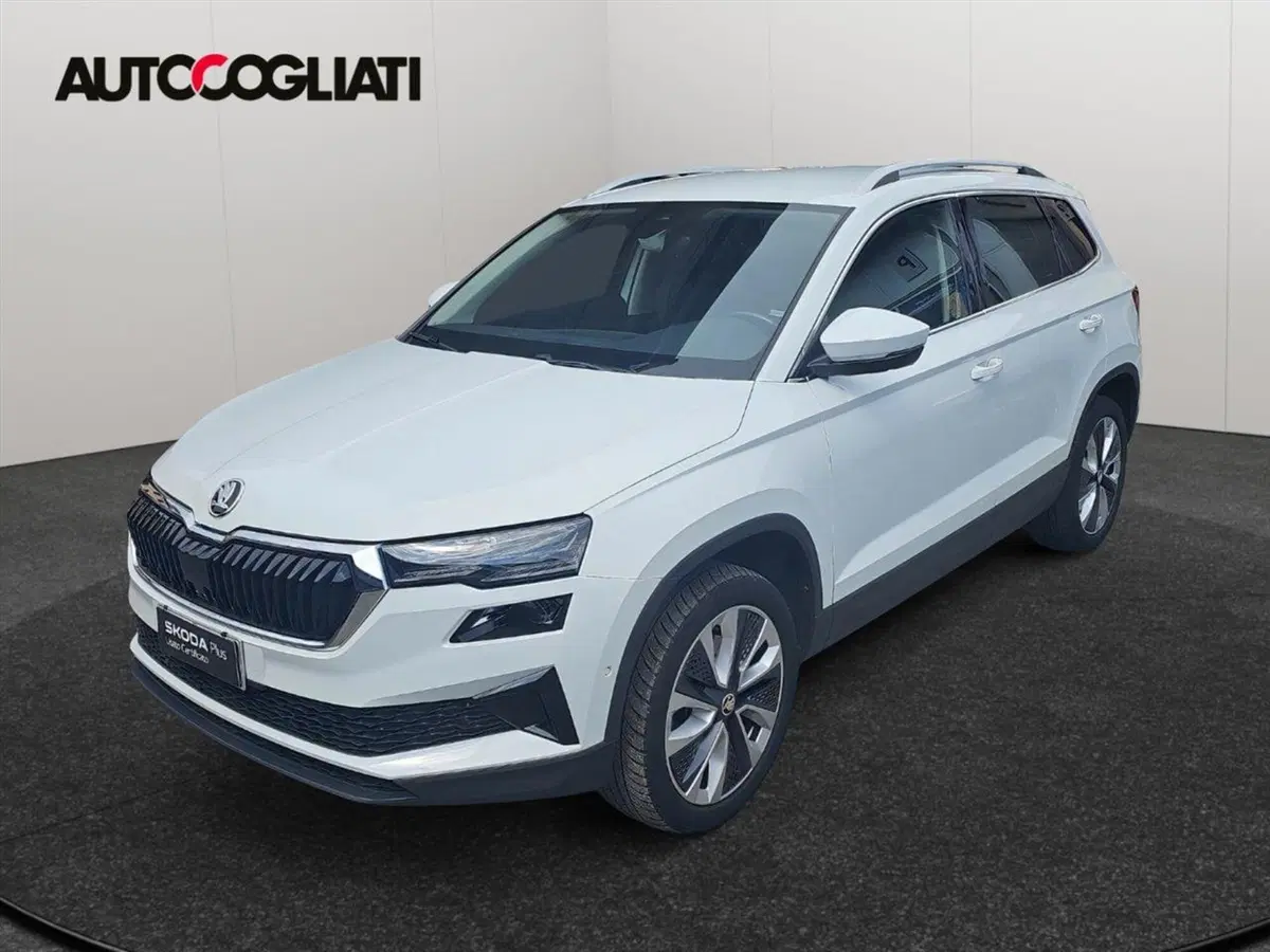 Skoda Karoq usata a Lecco