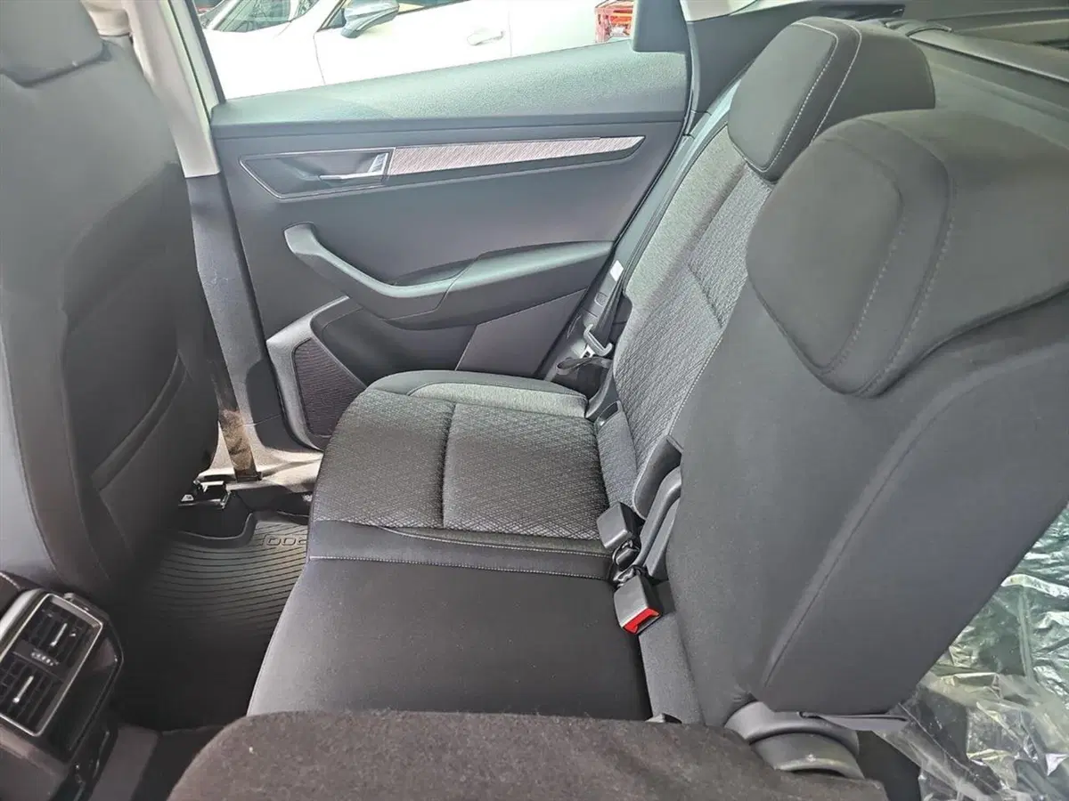 Skoda Karoq usata a Lecco (15)