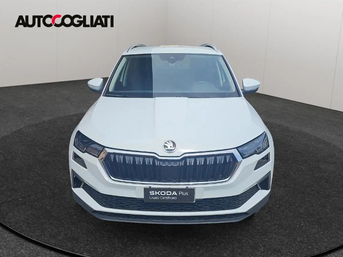 Skoda Karoq usata a Lecco (2)
