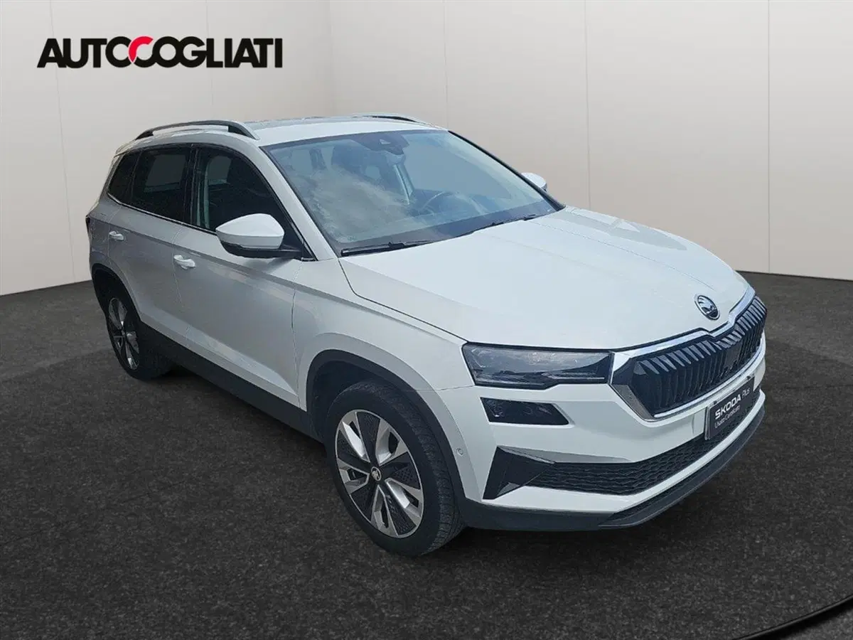 Skoda Karoq usata a Lecco (3)