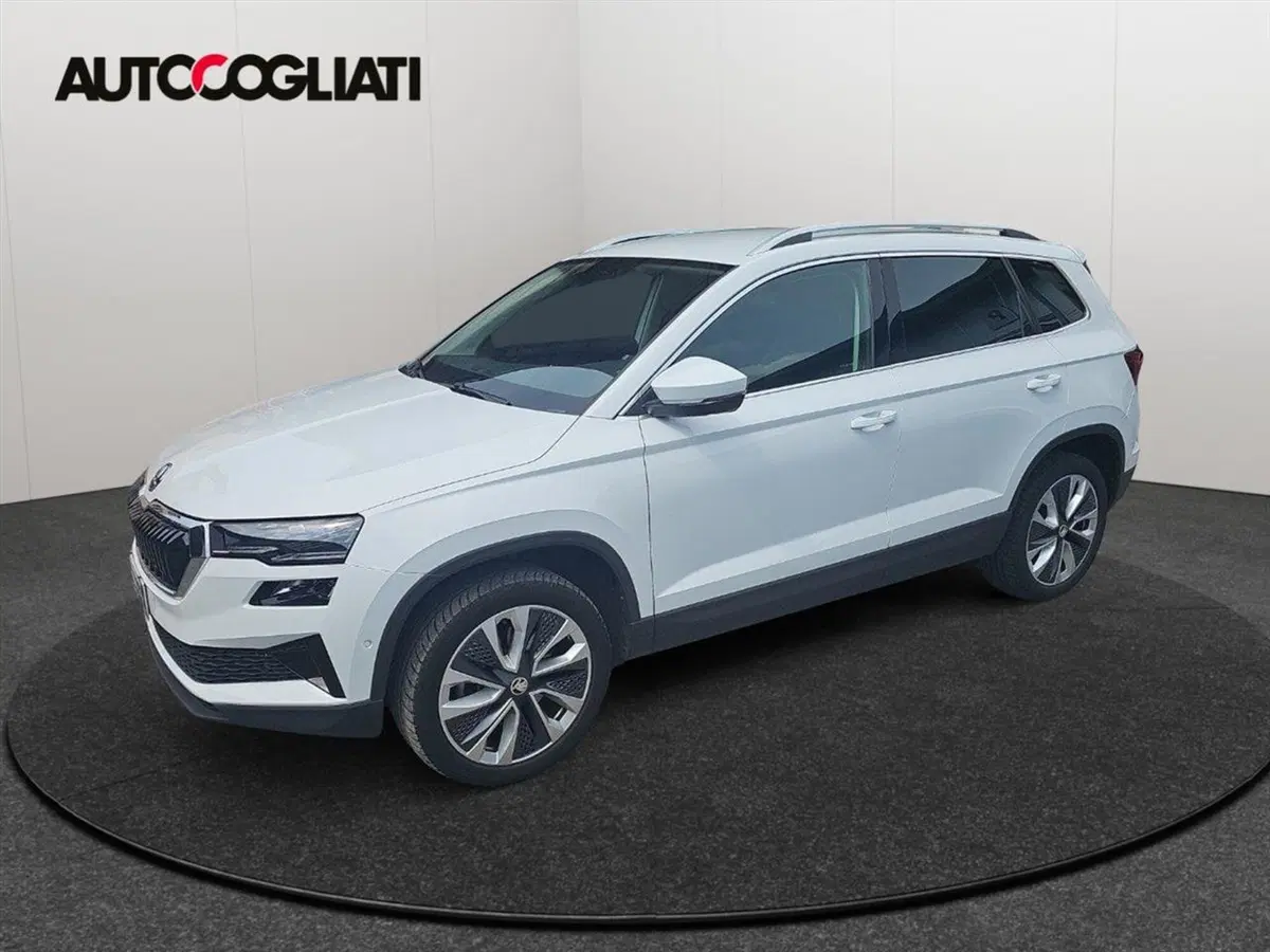 Skoda Karoq usata a Lecco (6)