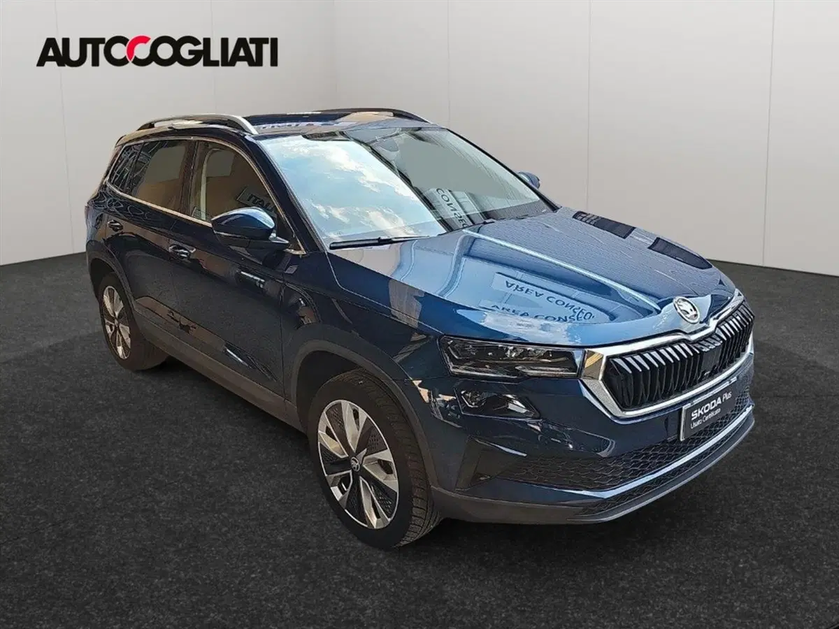 Skoda Karoq usata a Lecco (3)