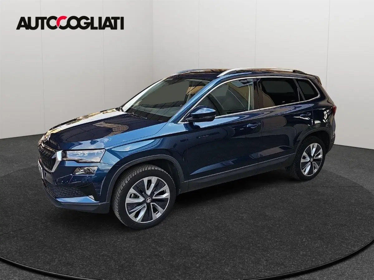 Skoda Karoq usata a Lecco (5)