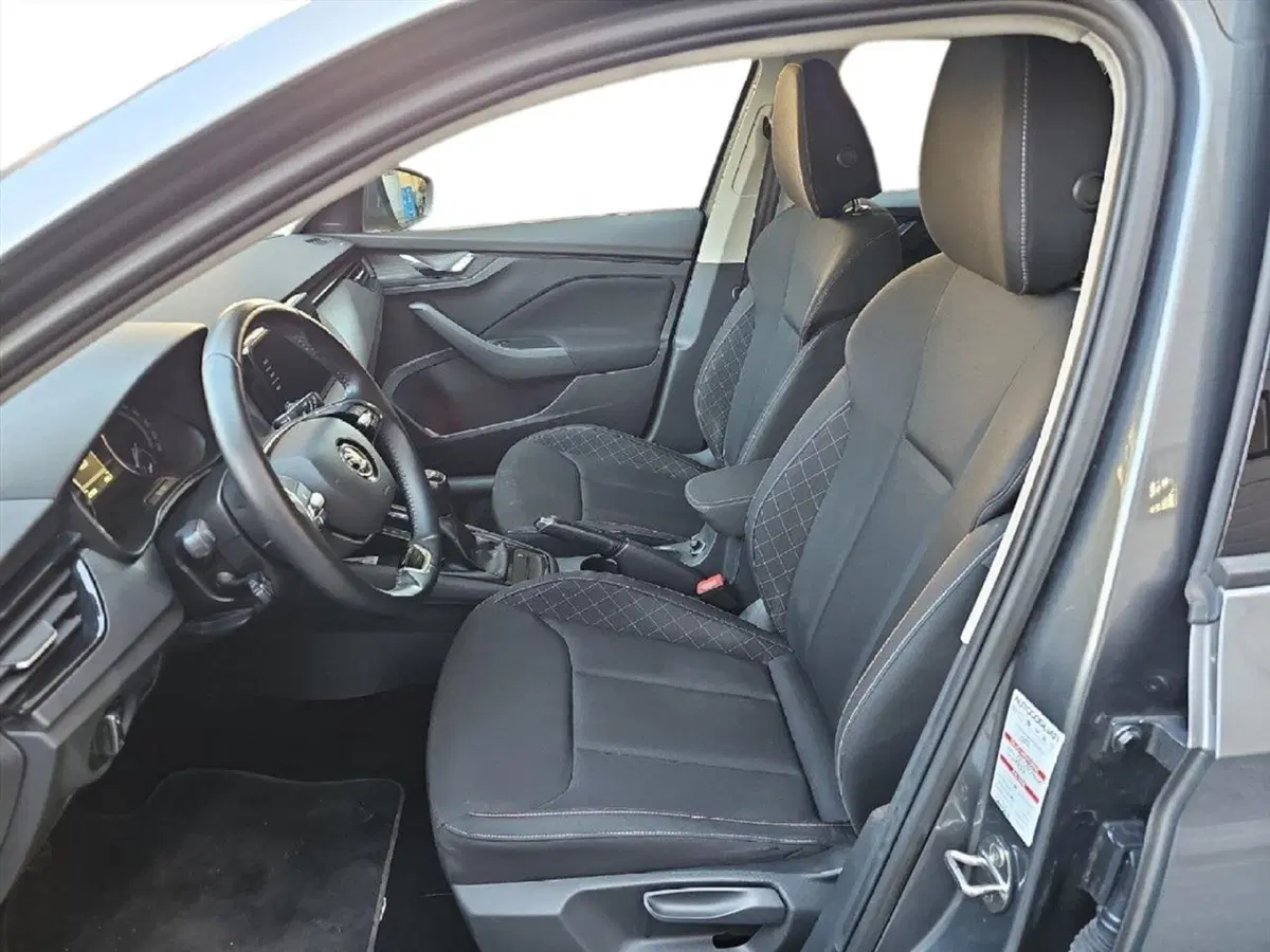 Skoda Scala usata a Lecco (11)
