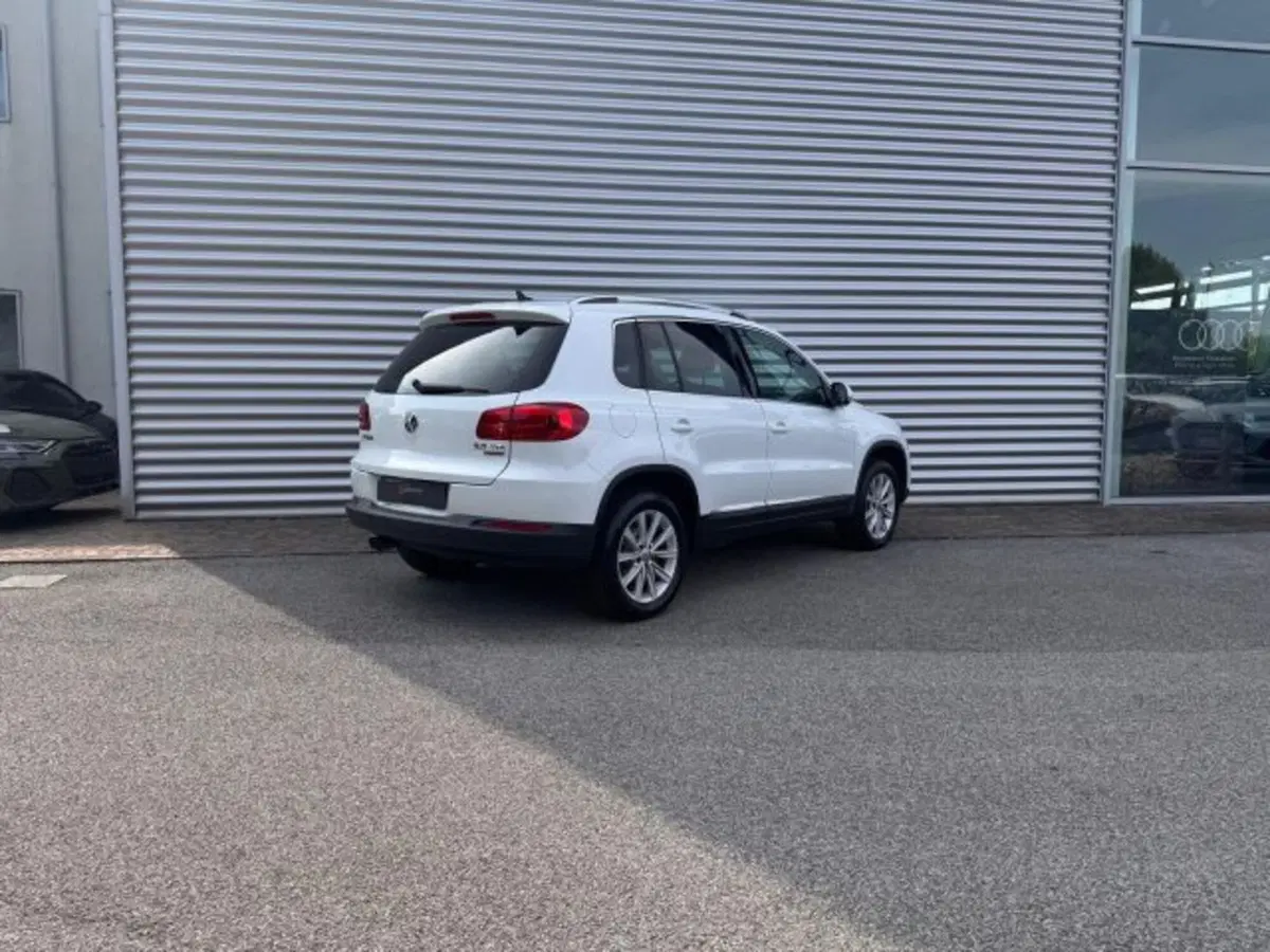 Volkswagen Tiguan usata a Treviso (3)