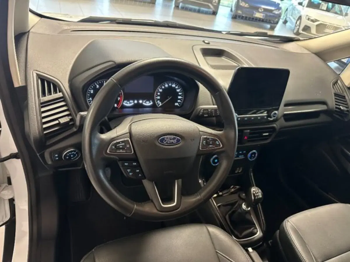 Ford EcoSport usata a Cuneo (10)