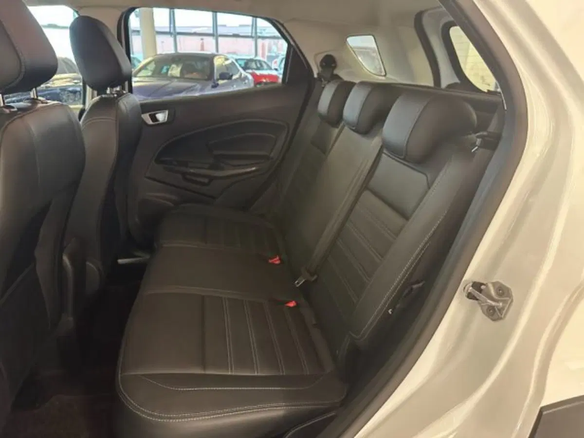 Ford EcoSport usata a Cuneo (12)