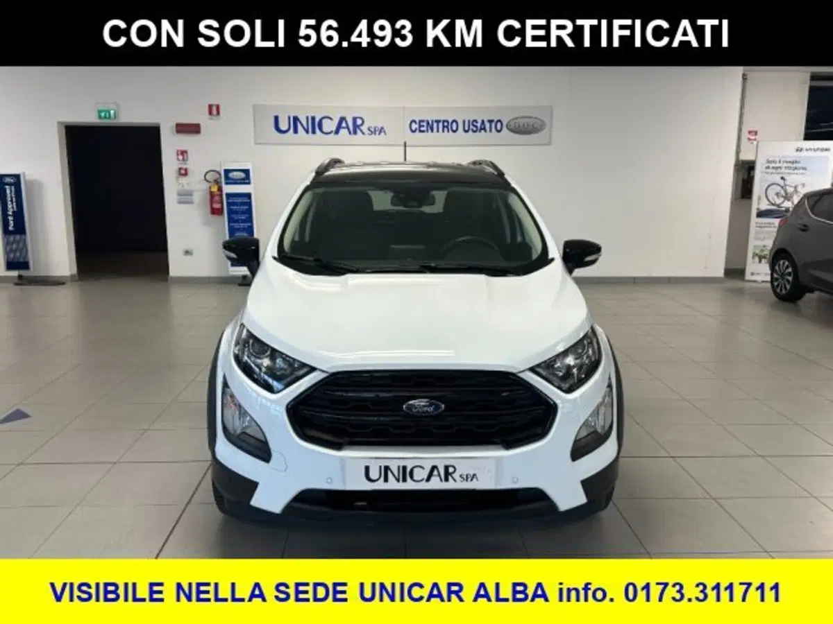 Ford EcoSport usata a Cuneo (2)