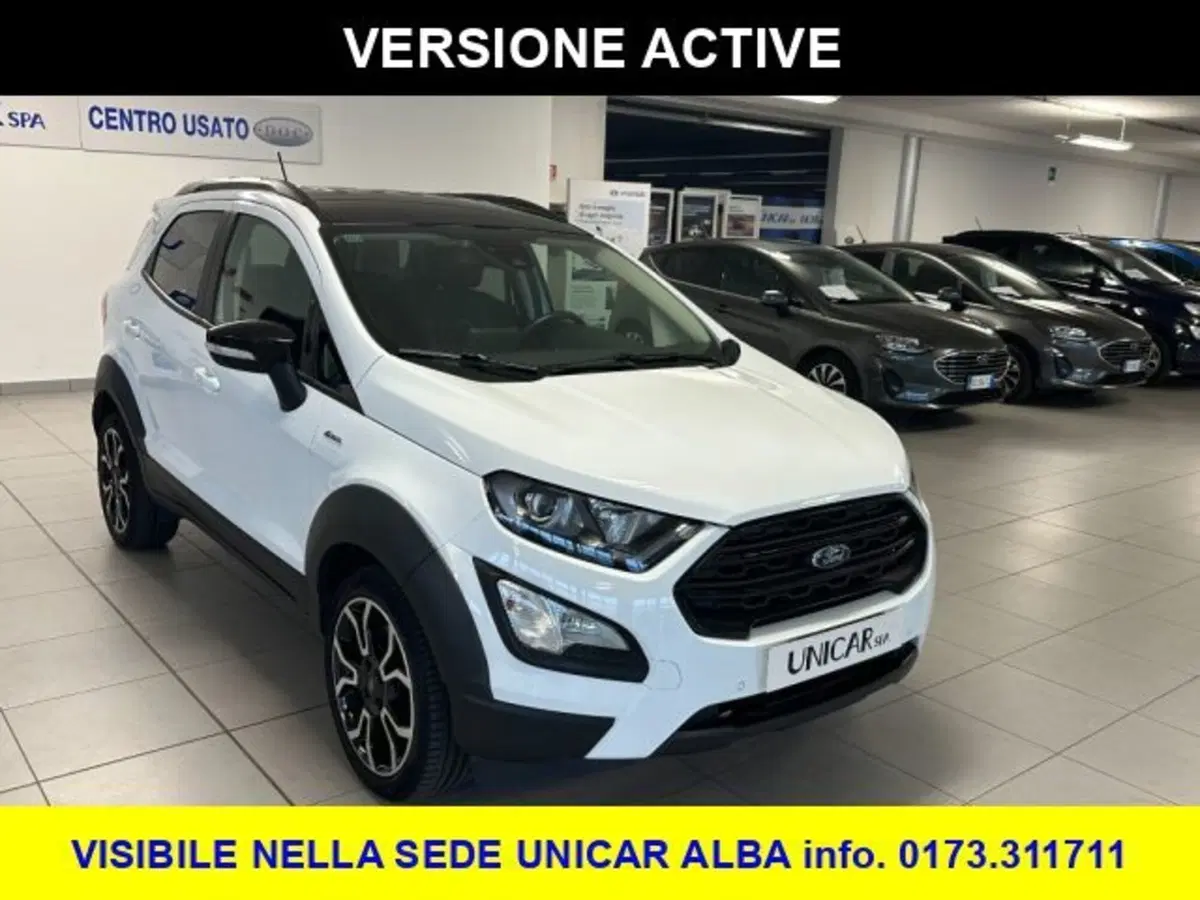 Ford EcoSport usata a Cuneo (3)