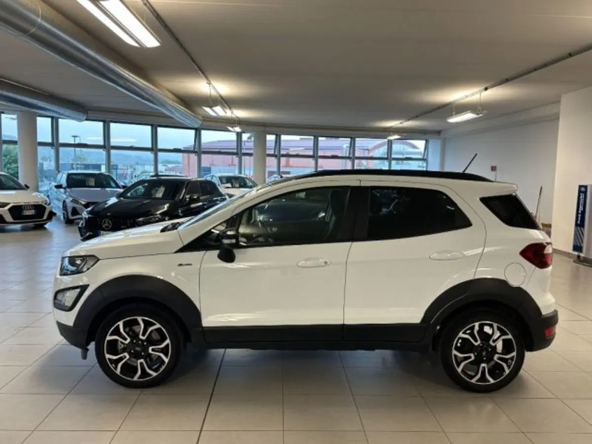 Ford EcoSport usata a Cuneo (4)
