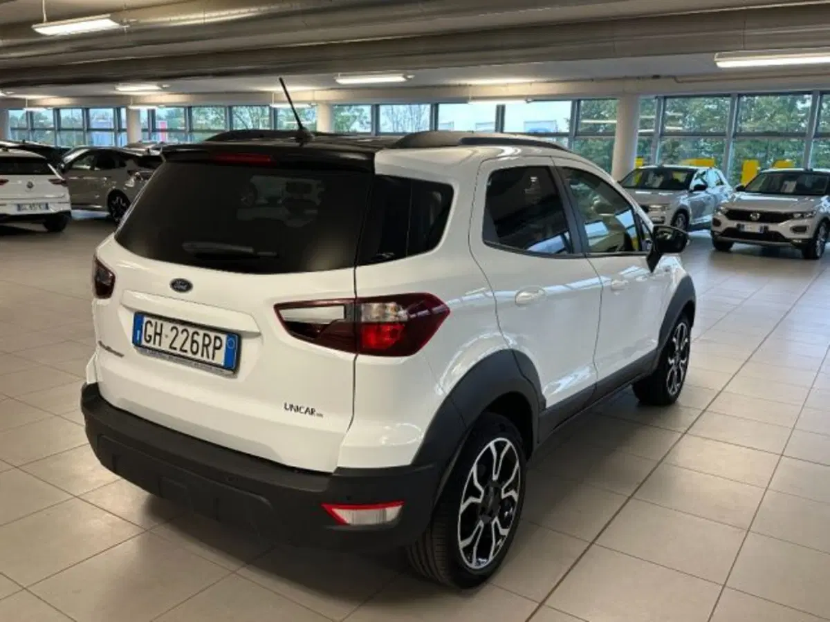 Ford EcoSport usata a Cuneo (7)