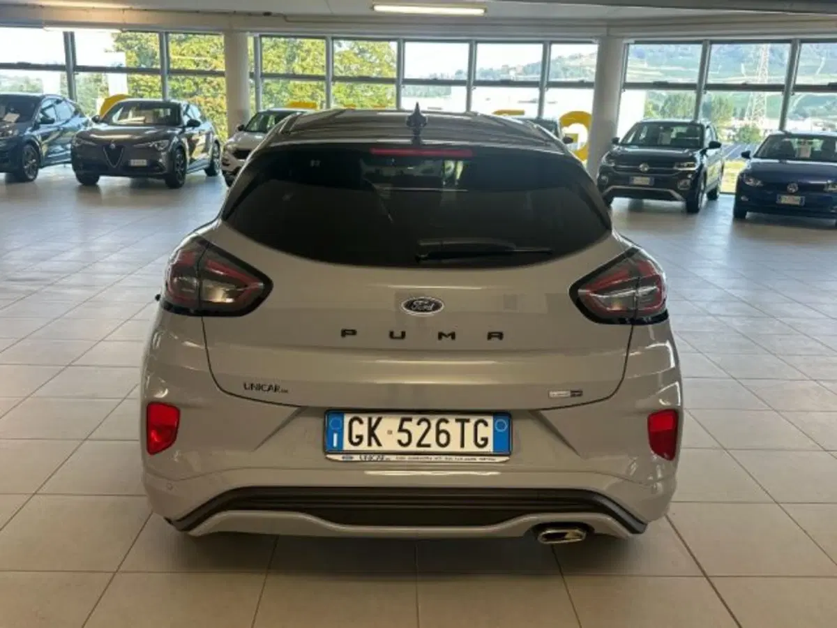 Ford Puma usata a Cuneo (6)
