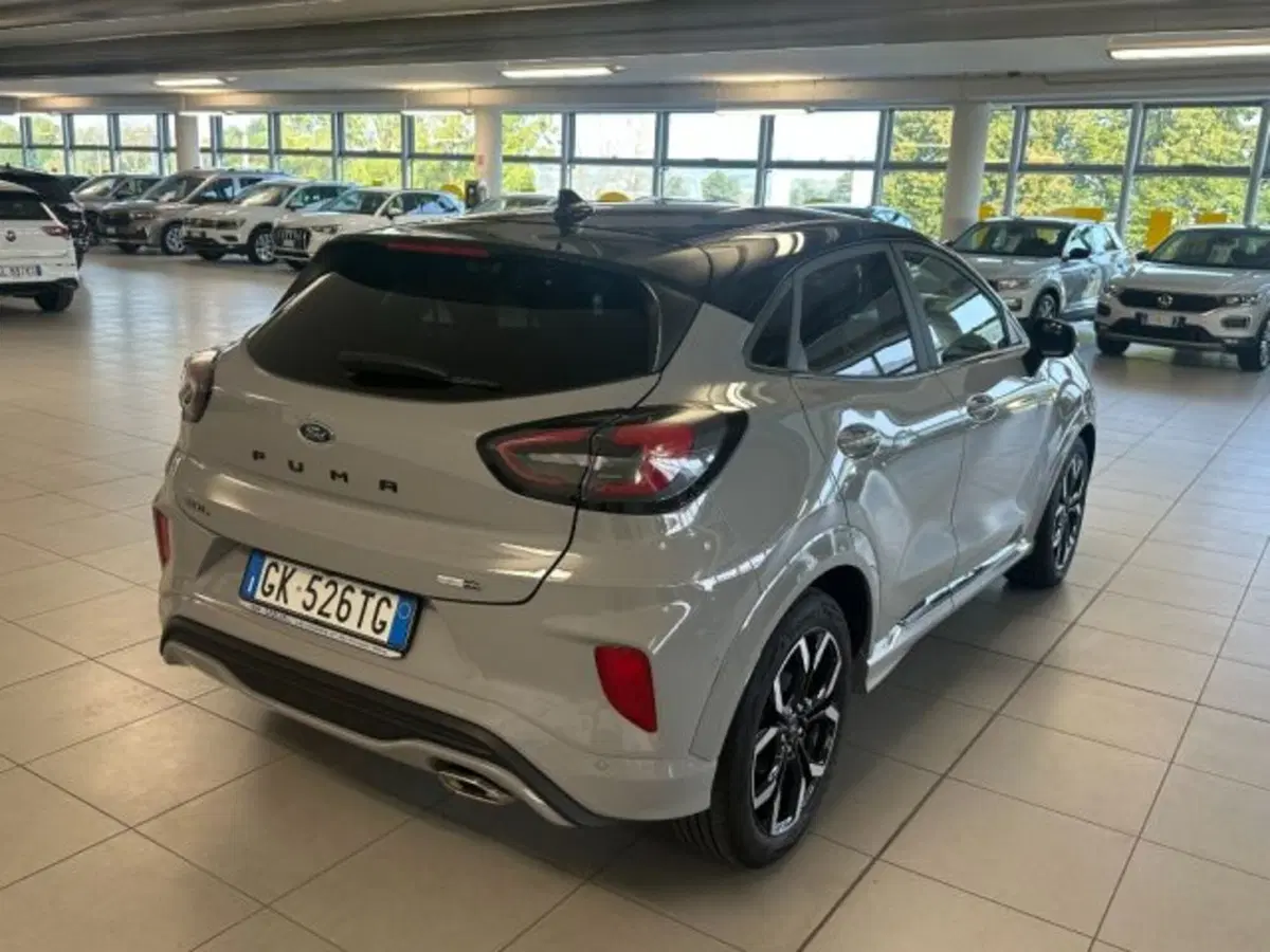 Ford Puma usata a Cuneo (7)