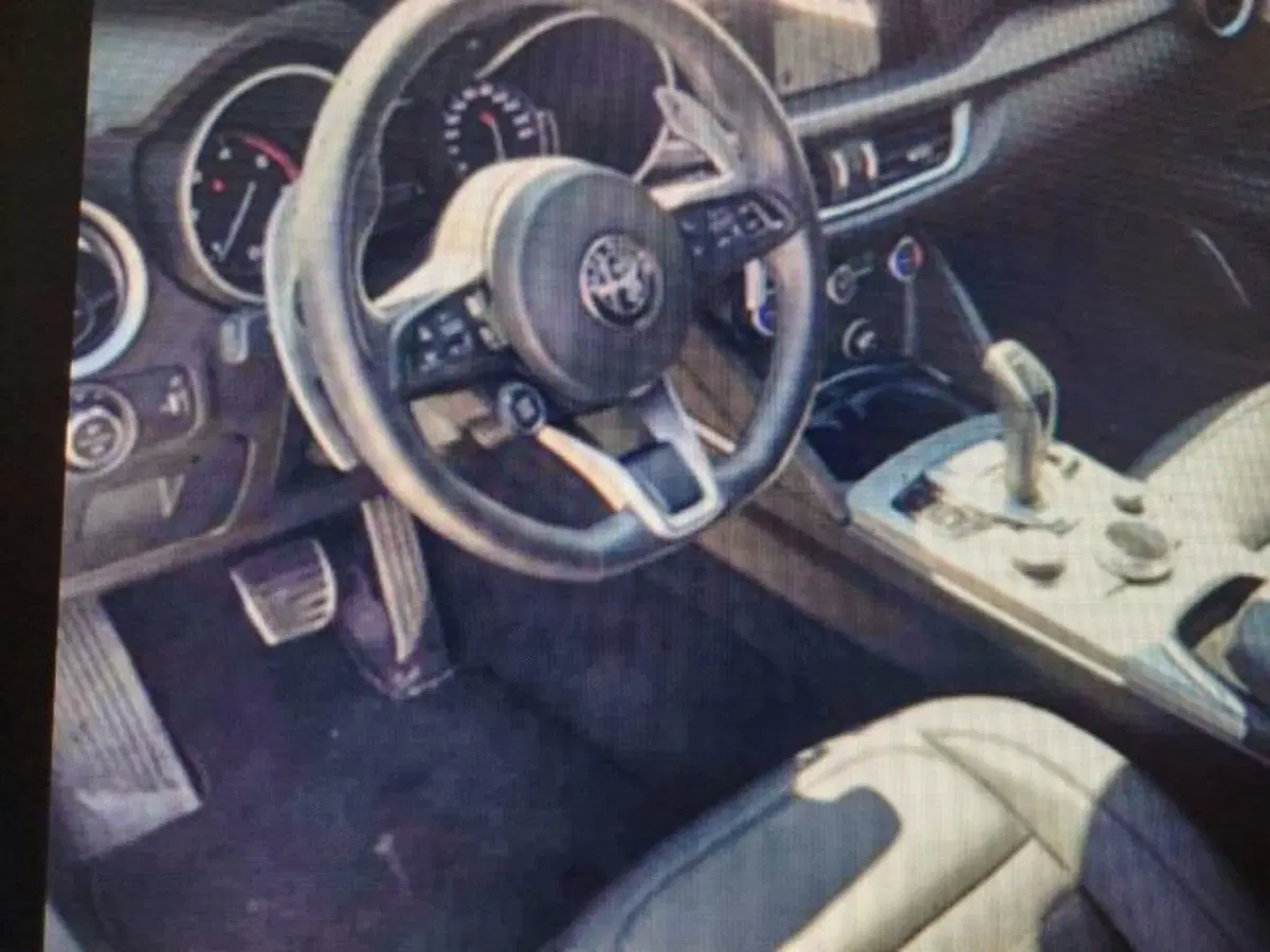 Alfa Romeo Stelvio usata a Forlì-Cesena (6)
