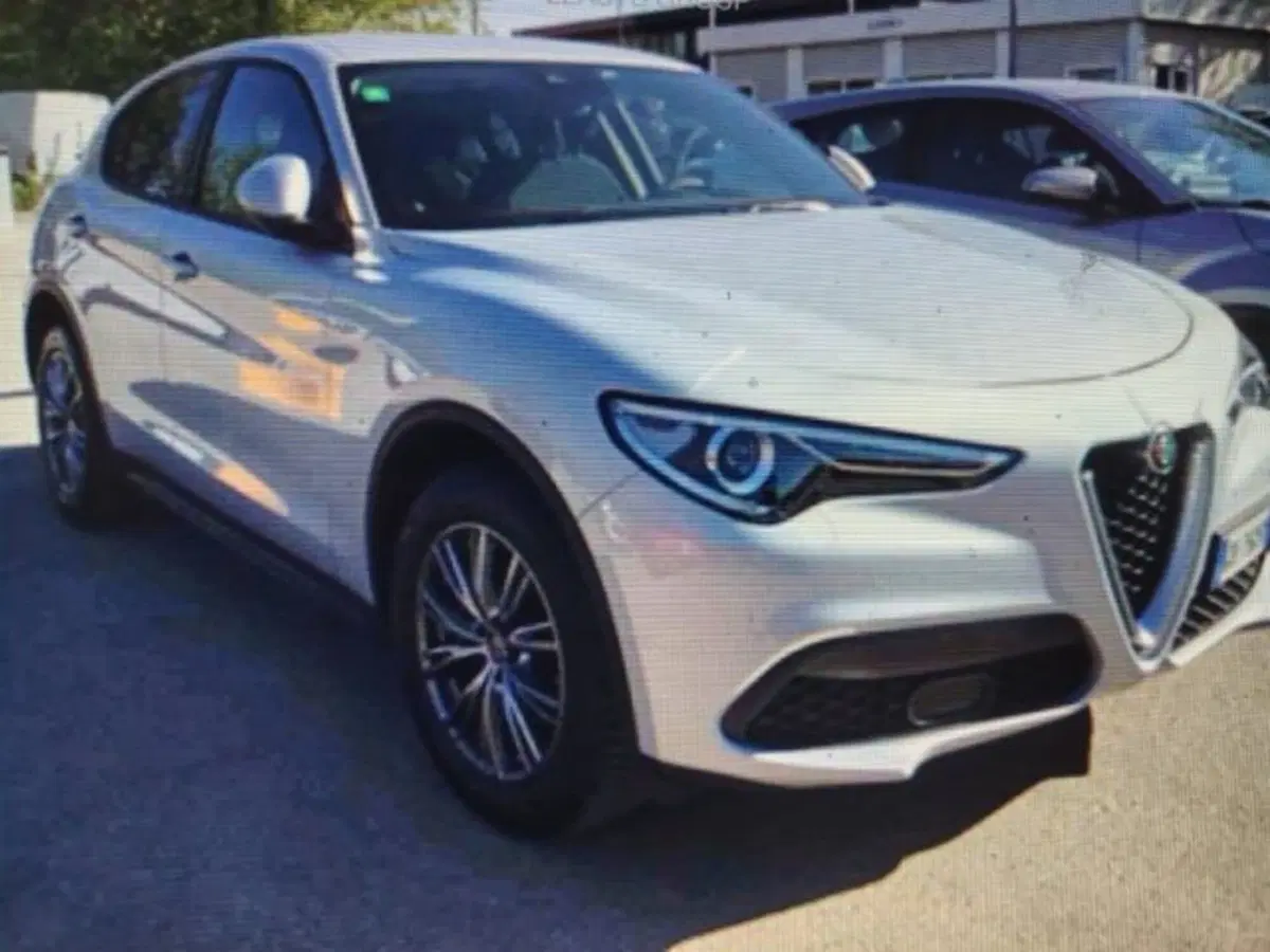 Alfa Romeo Stelvio usata a Forlì-Cesena (2)