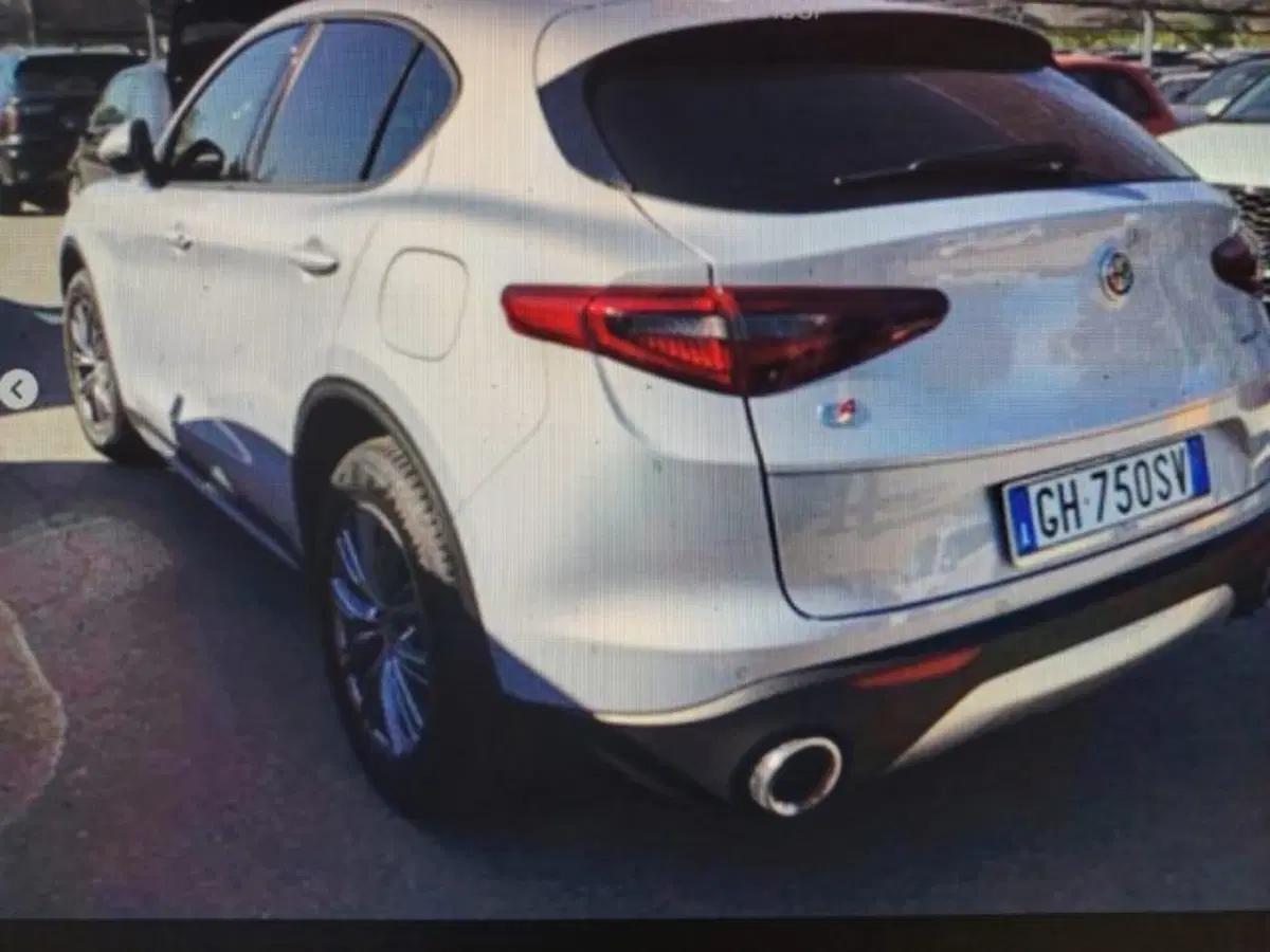 Alfa Romeo Stelvio usata a Forlì-Cesena (3)
