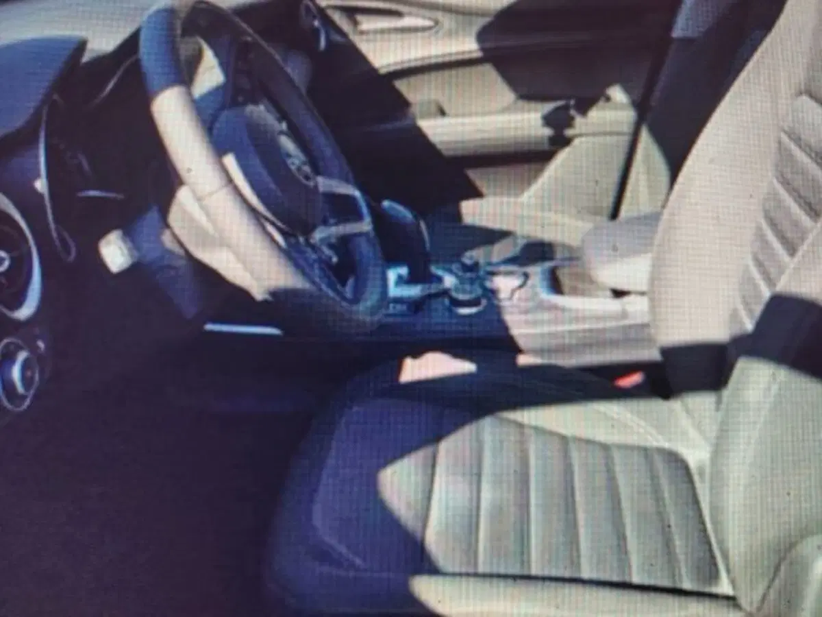 Alfa Romeo Stelvio usata a Forlì-Cesena (5)
