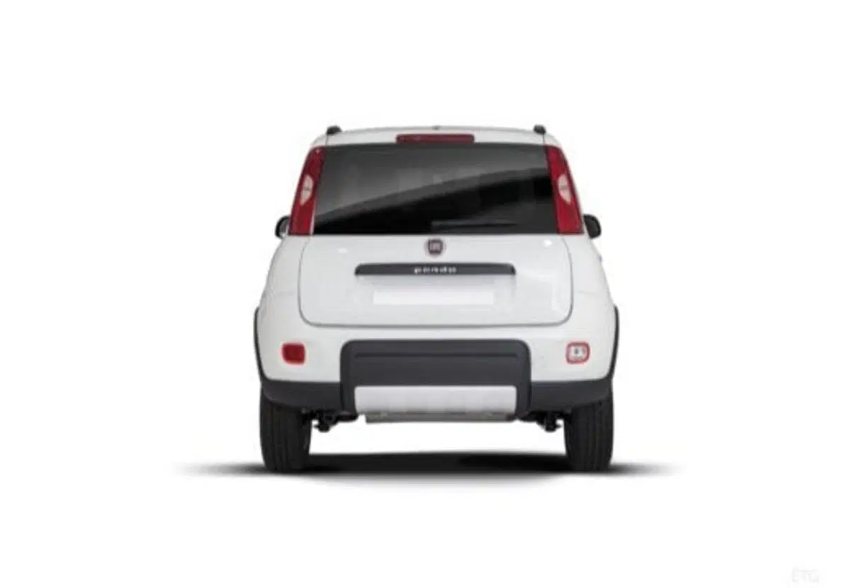 Fiat Panda usata a Salerno (15)
