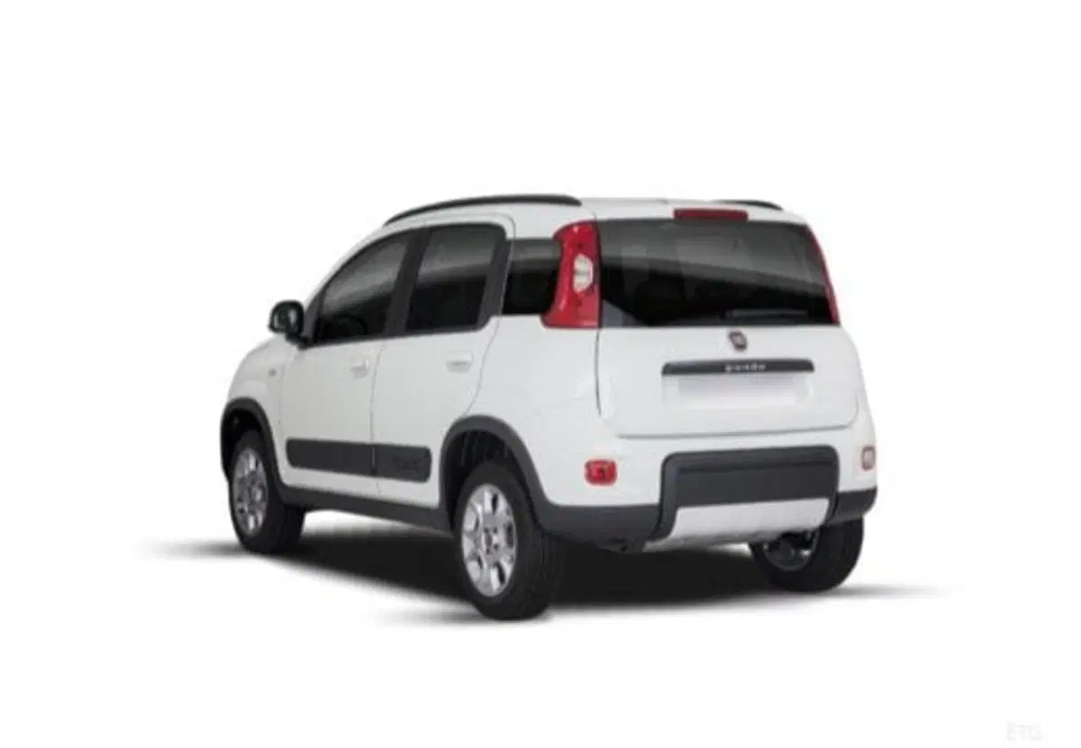 Fiat Panda usata a Salerno (19)