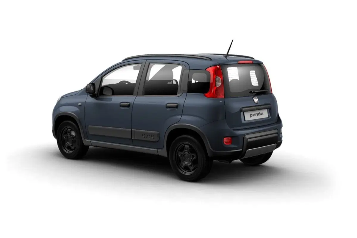 Fiat Panda usata a Salerno (2)