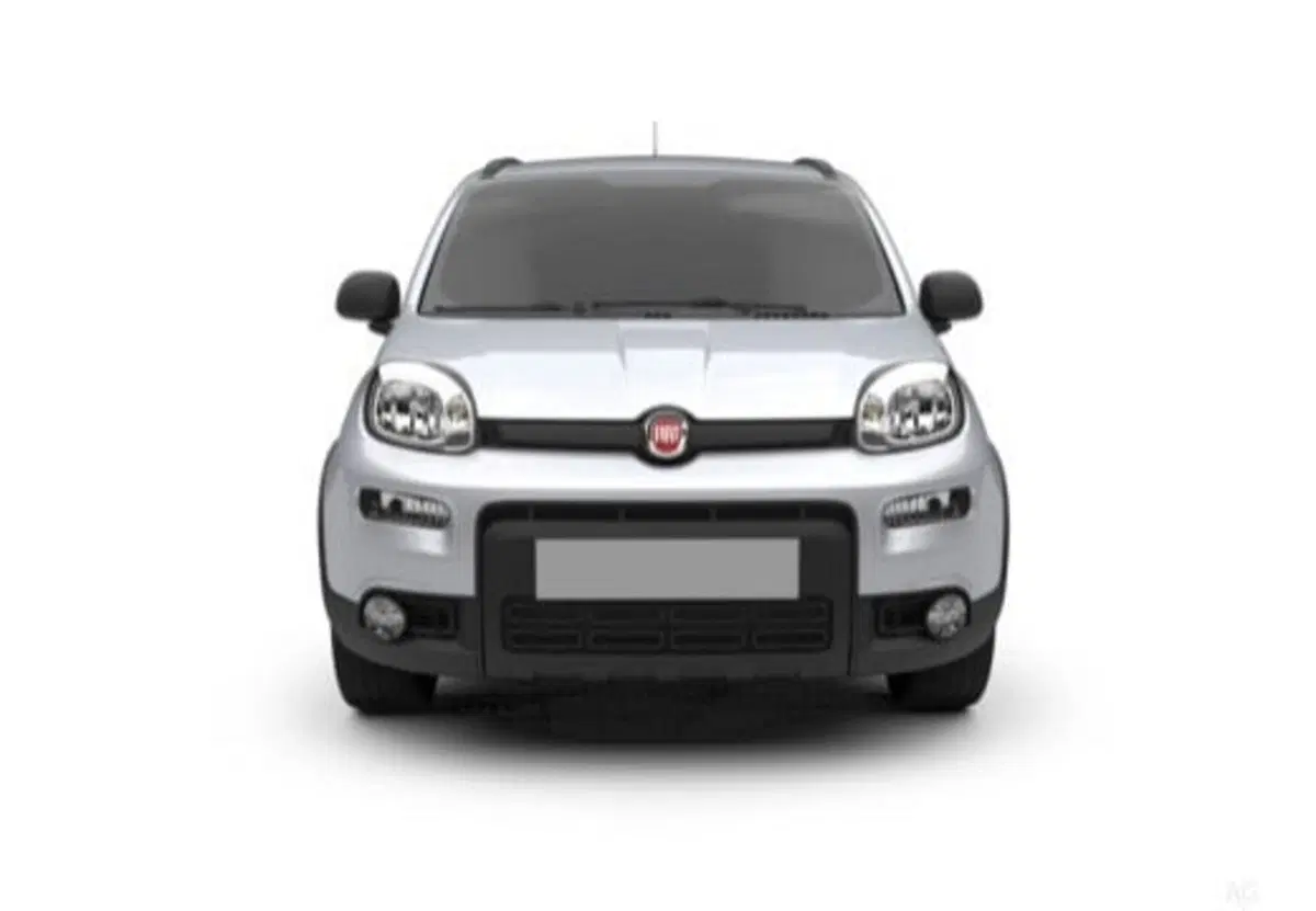 Fiat Panda usata a Salerno (6)