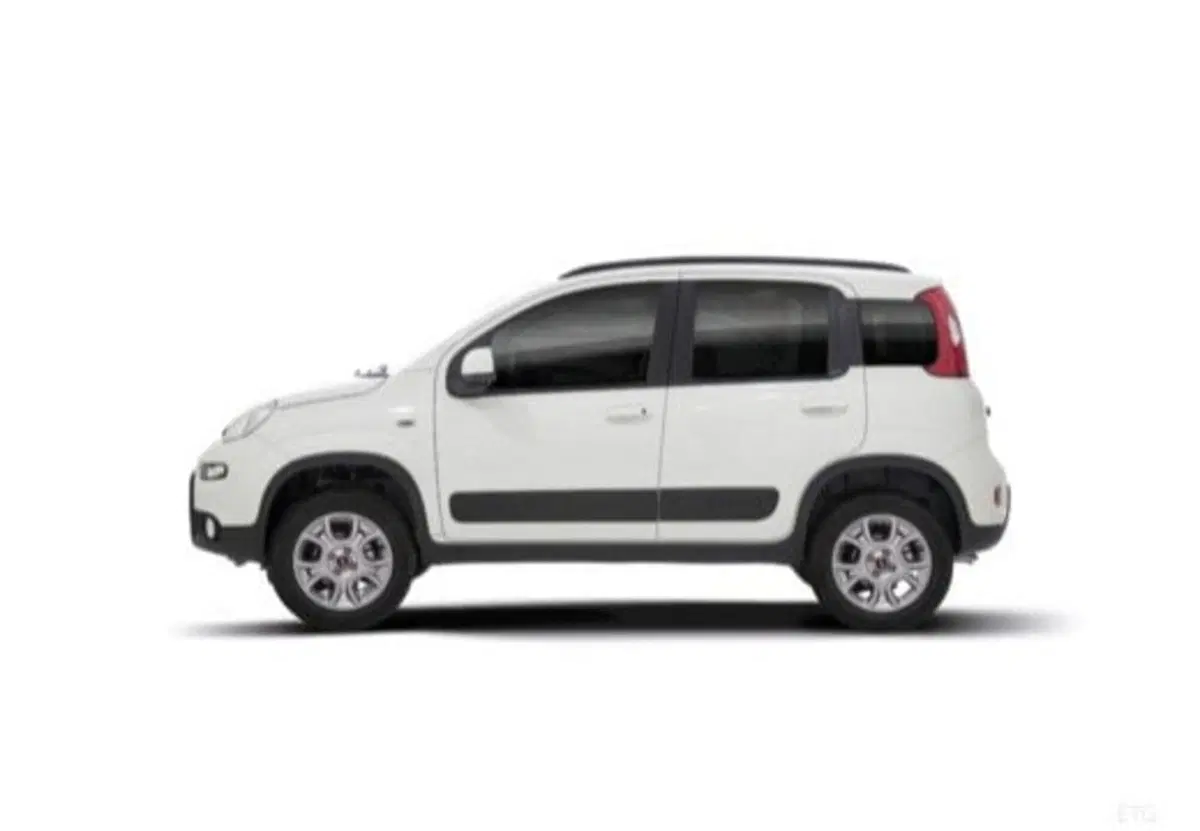 Fiat Panda usata a Salerno (7)