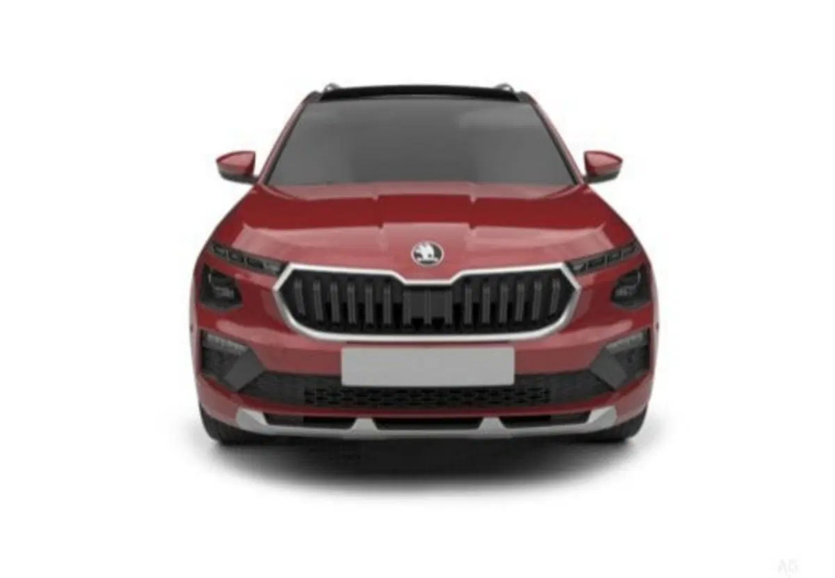 Skoda Kamiq usata a Salerno (8)