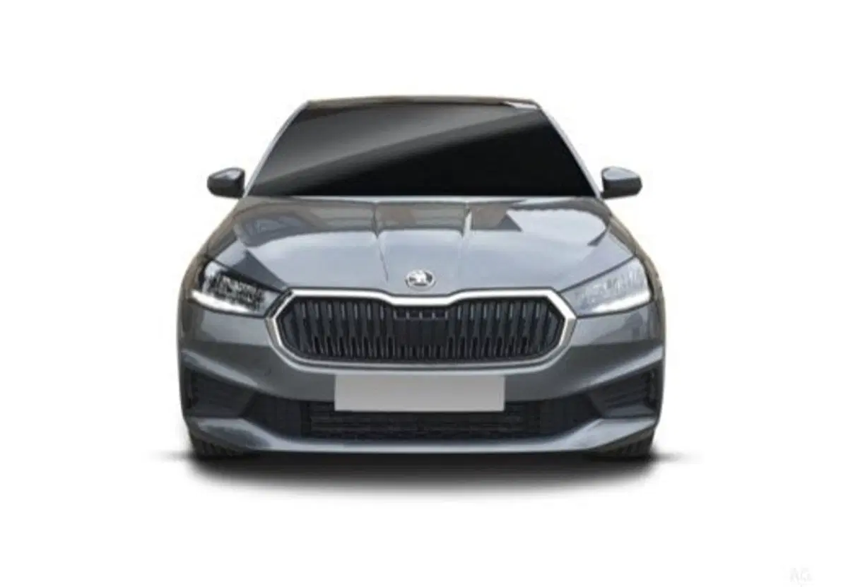 Skoda Fabia usata a Salerno (7)