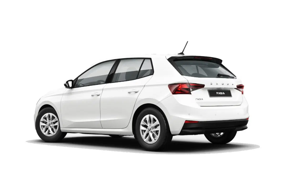 Skoda Fabia usata a Salerno (2)