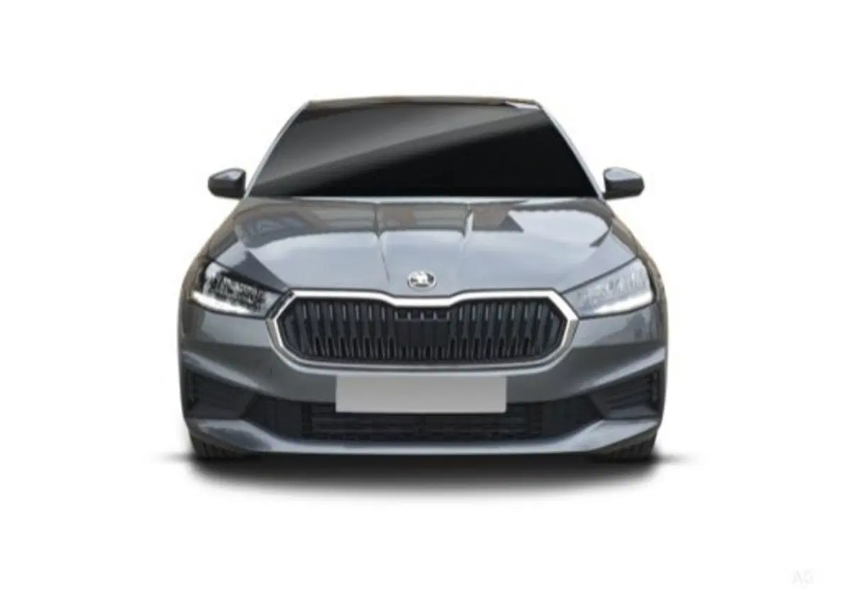 Skoda Fabia usata a Salerno (4)