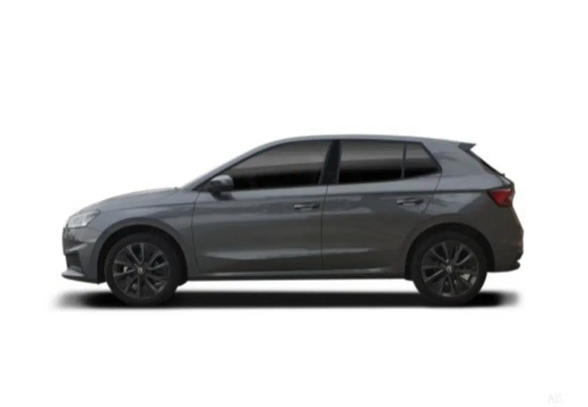 Skoda Fabia usata a Salerno (8)