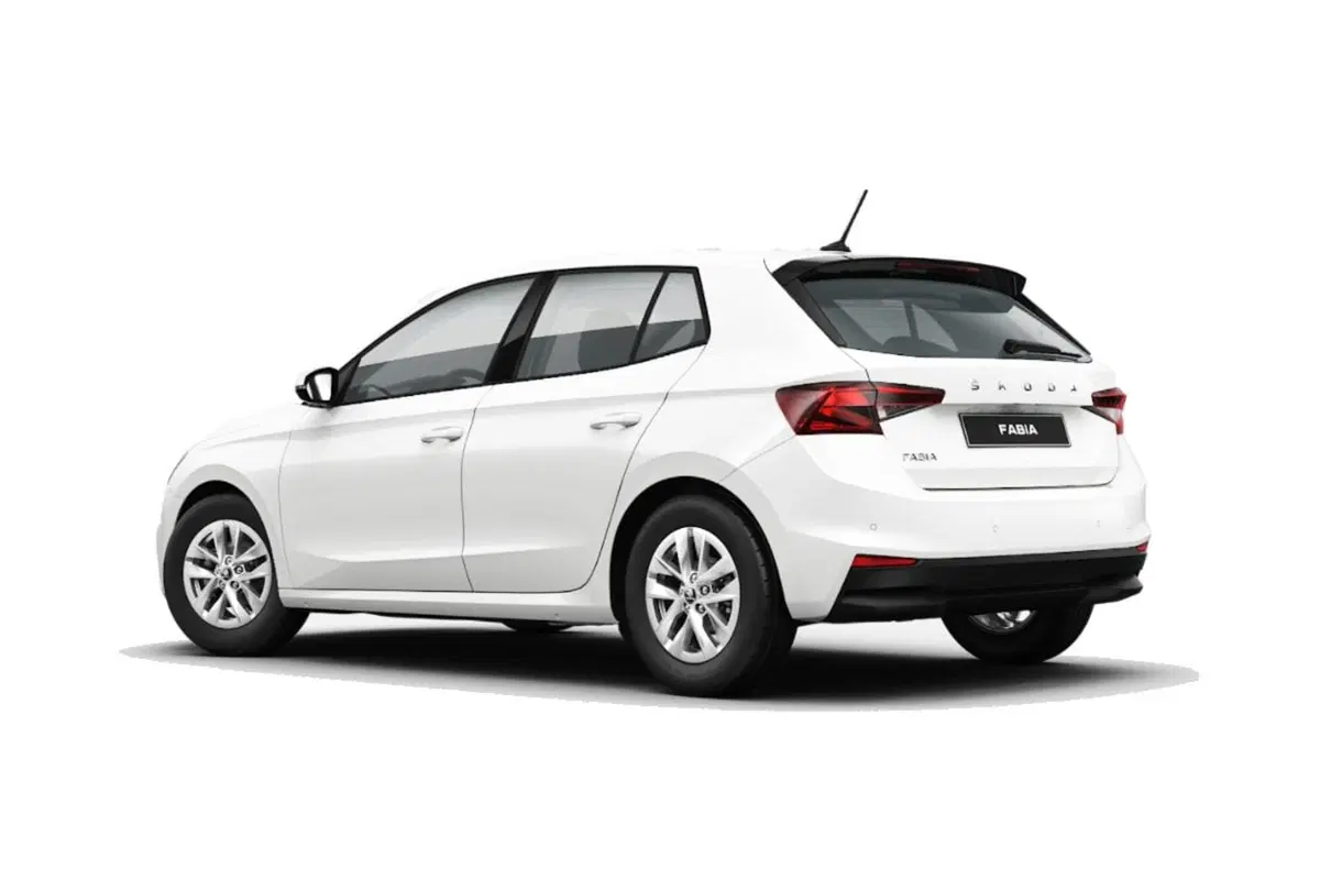 Skoda Fabia usata a Salerno (2)
