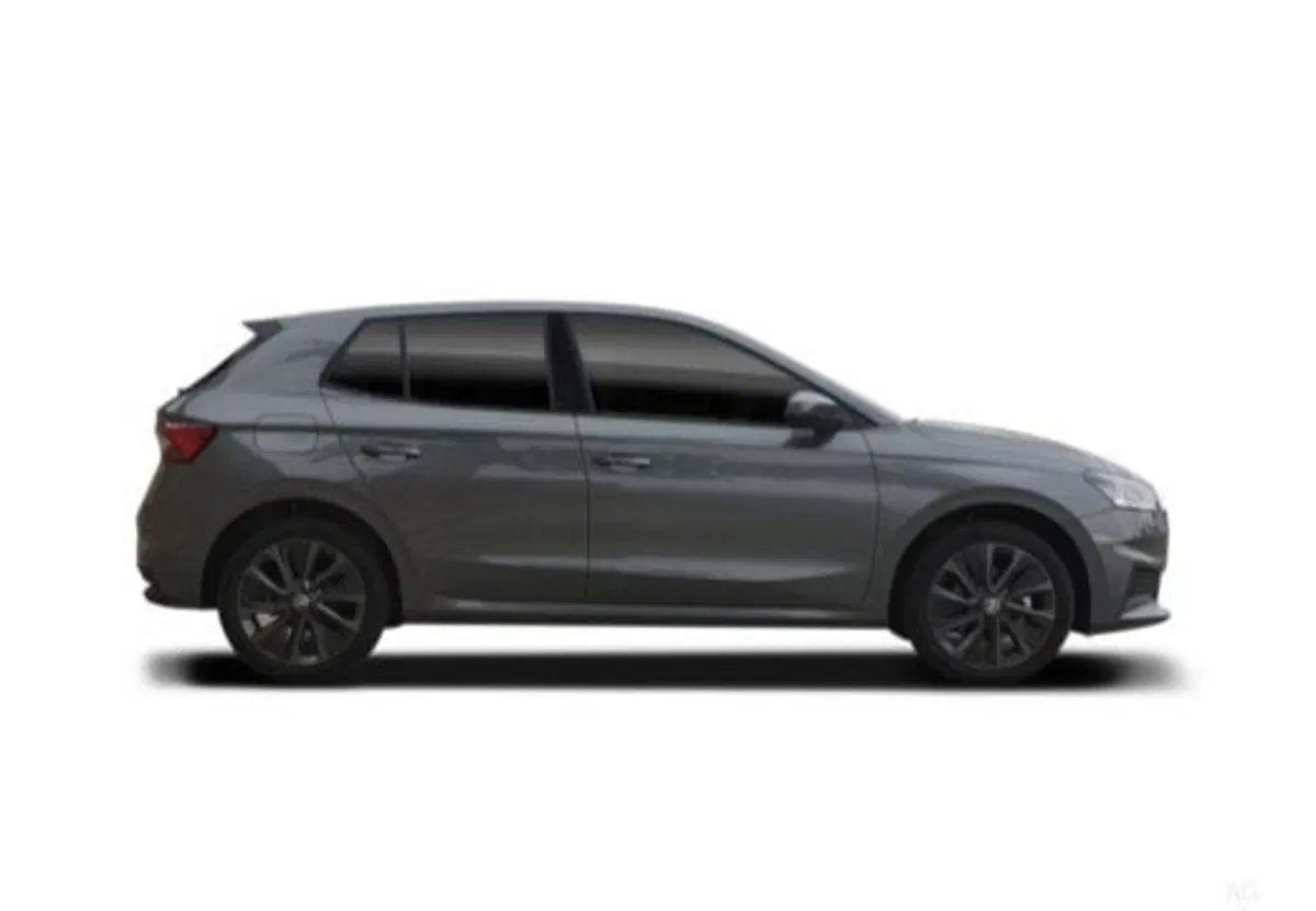 Skoda Fabia usata a Salerno (9)