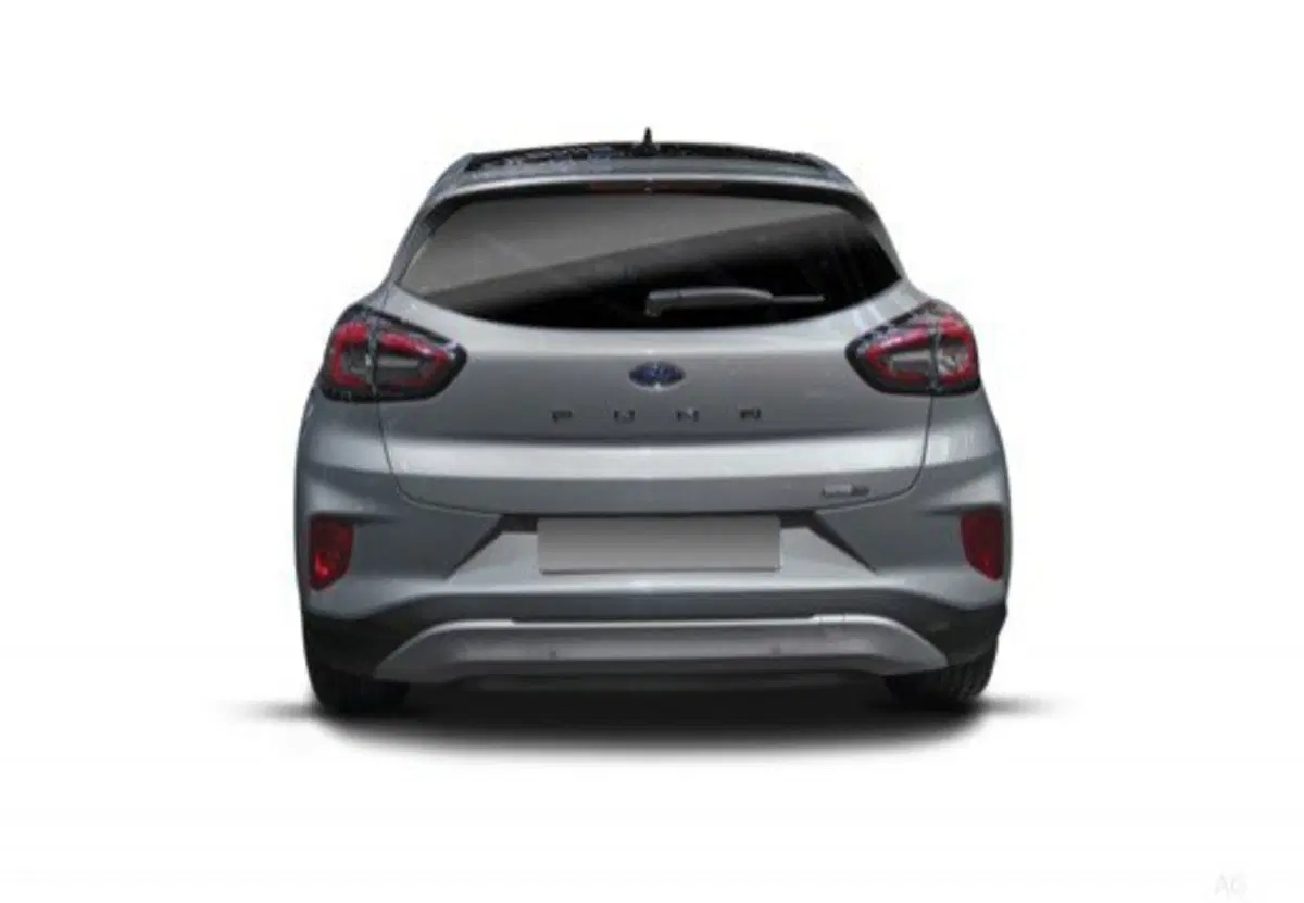 Ford Puma usata a Salerno (9)