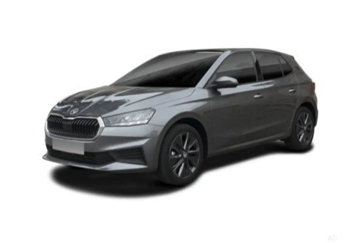 Skoda Fabia usata a Salerno (6)
