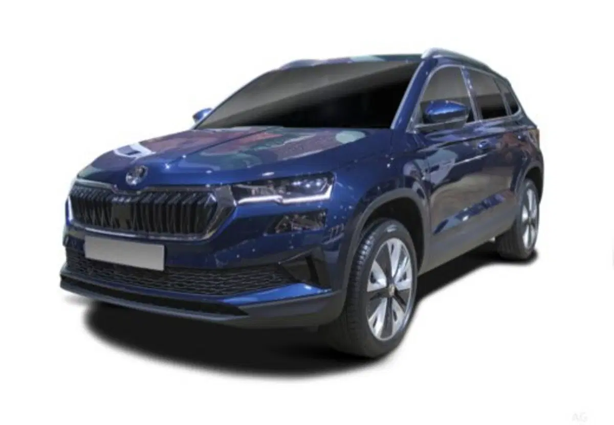 Skoda Karoq usata a Salerno (8)