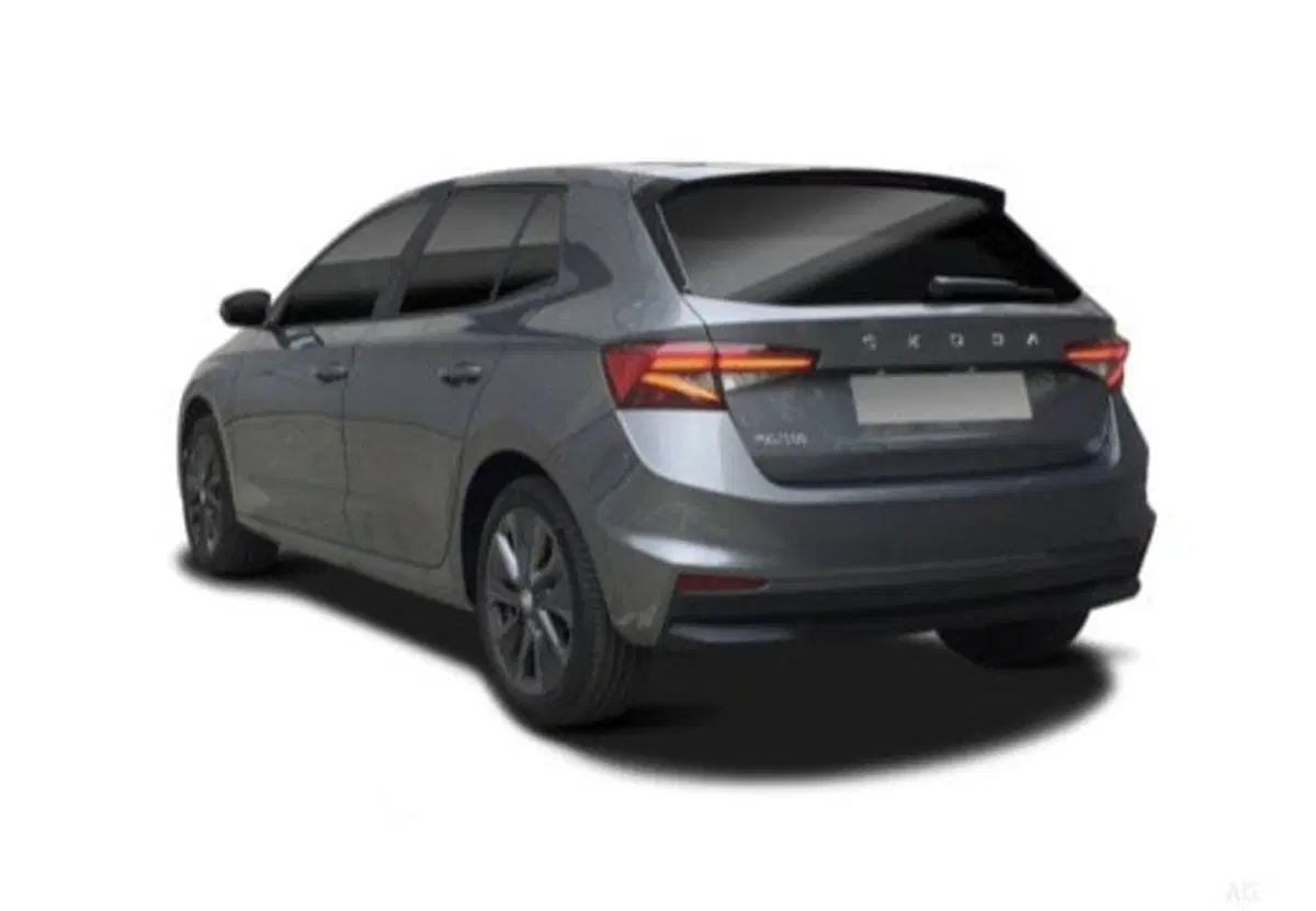 Skoda Fabia usata a Salerno (6)