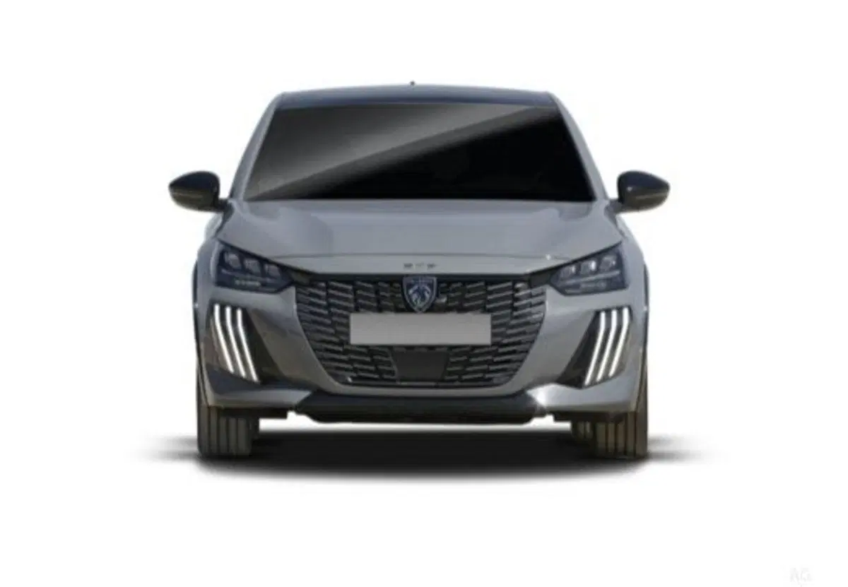 Peugeot 208 usata a Salerno (17)