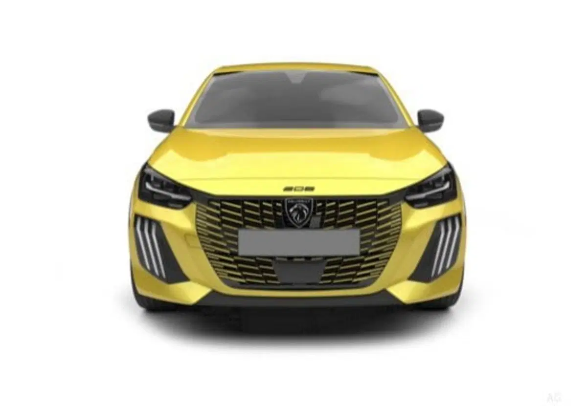 Peugeot 208 usata a Salerno (9)